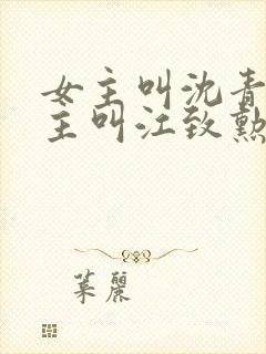 女主叫沈青青男主叫江致勋的小说