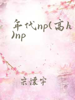 年代np(高h)np
