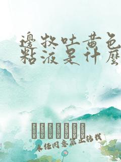 边牧吐黄色泡沫粘液是什么原因