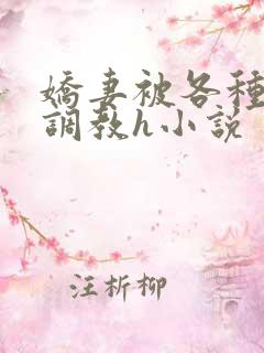 娇妻被各种刑具调教h小说