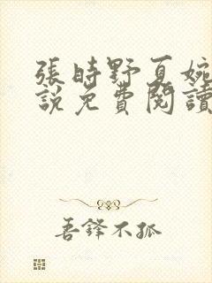 张时野夏婉央小说免费阅读笔趣阁