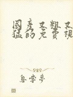 国产又粗又硬又猛的免费视频