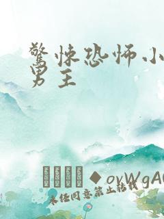 惊悚恐怖小说双男主