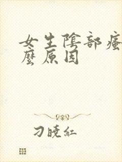 女生阴部瘙痒什么原因