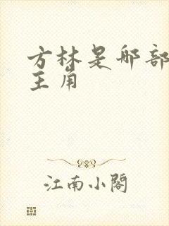 方林是哪部小说主角