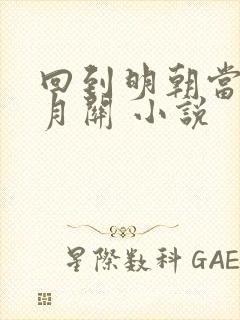 回到明朝当王爷月关 小说