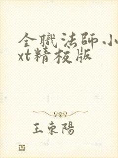 全职法师小说txt精校版