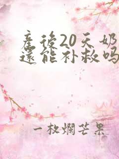 产后20天奶少还能补救吗