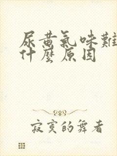 尿黄气味难闻是什么原因