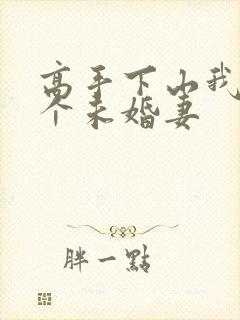 高手下山我有九个未婚妻