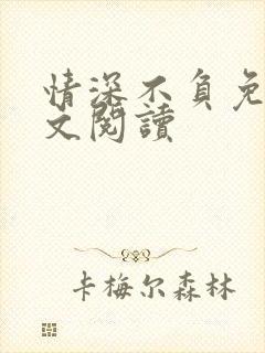 情深不负免费全文阅读