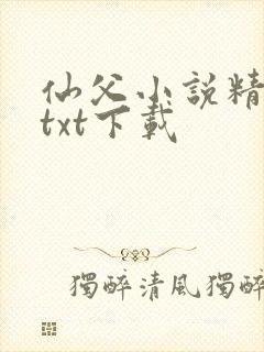 仙父小说精校版txt下载