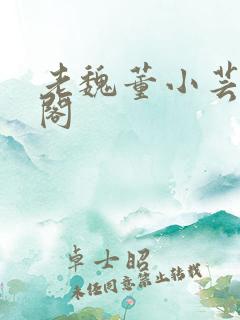 老魏董小芸趣笔阁