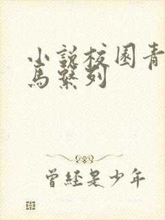 小说校园青梅竹马系列