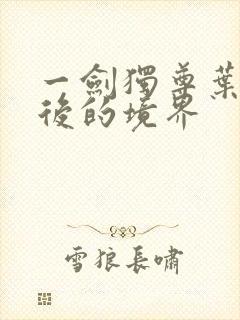 一剑独尊叶玄最后的境界