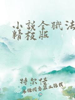 小说全职法师乱精校版