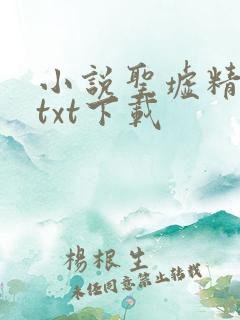 小说圣墟精校版txt下载