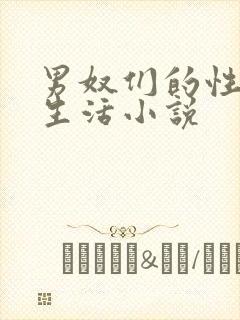 男奴们的性调教生活小说