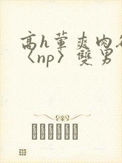 高h荤爽肉欲文〈np〉双男