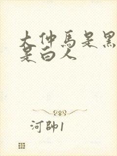 大仲马是黑人还是白人