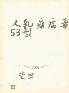 人乳瘤病毒阳性53型