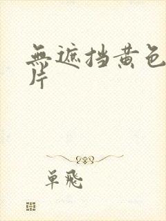 无遮挡黄色一级片