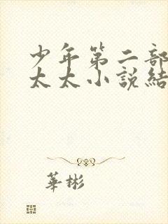 少年第二部房东太太小说结局