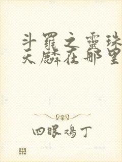 斗罗之灵珠神剑天麟在那里更新