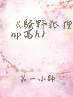 《骚野狐狸精(np高h)