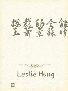 总裁的全能型兵王萧晨苏晴