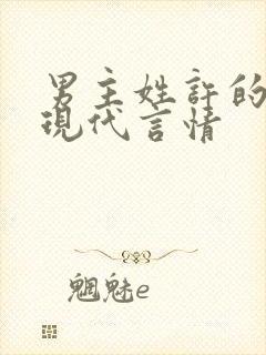 男主姓许的小说现代言情