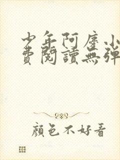 少年阿庆小说免费阅读无弹窗