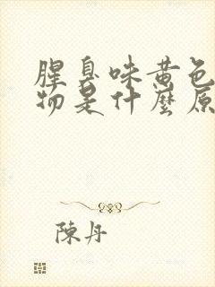 腥臭味黄色分泌物是什么原因