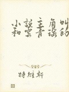 小说主角叫陆仁和云青瑶的