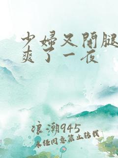 少妇叉开腿让我爽了一夜