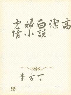 少妇白洁高义孙倩小说