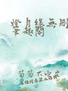 灯月缘无删减版笔趣阁