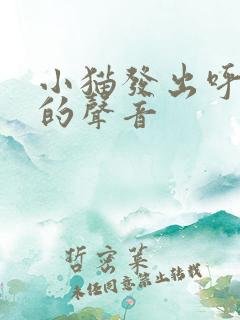 小猫发出呼噜噜的声音