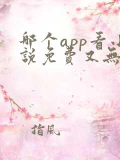 哪个app看小说免费又无广告