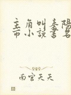 主角叫秦阳的都市小说书名