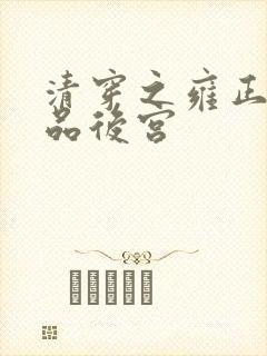 清穿之雍正的级品后宫