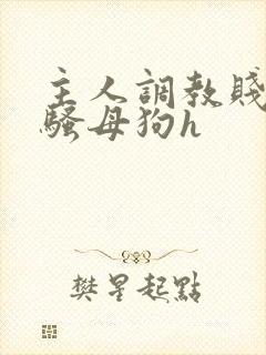 主人调教贱货,骚母狗h