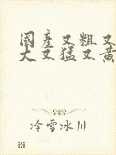 国产又粗又硬又大又猛又黄的视频