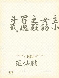 斗罗之女主加入武魂殿的小说