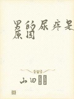 男的尿疼是什么原因