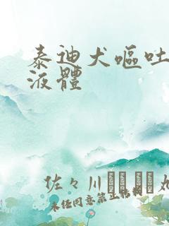 泰迪犬呕吐黄色液体