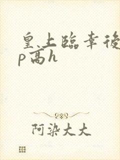 皇上临幸后宫np高h