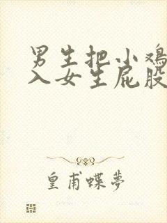 男生把小鸡鸡插入女生屁股里的视频