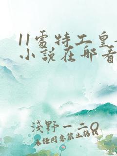 11处特工皇妃小说在哪看