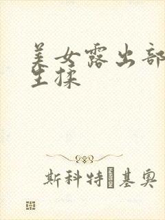 美女露出部给男生揉